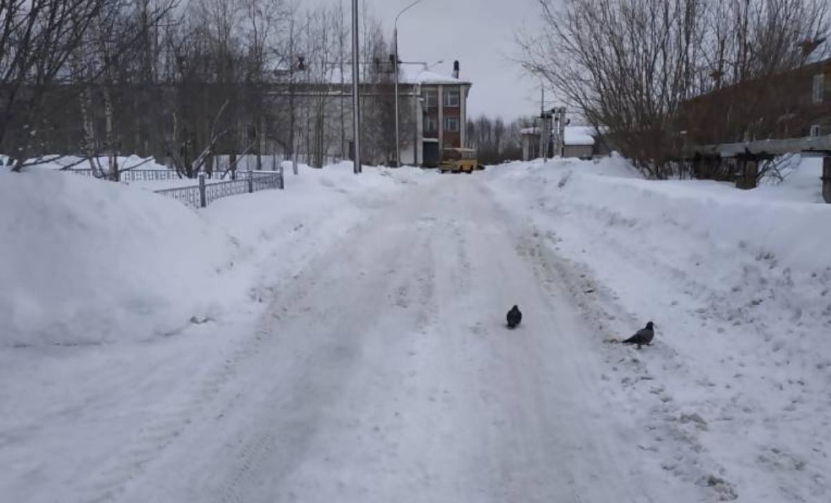 С дорог Архангельска вывезли 4830 кубометров снега