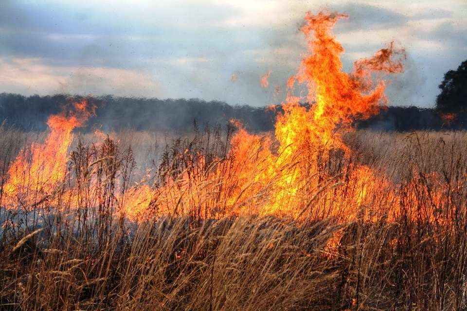 Из-за пожаров в деревнях Архангельской области сгорели 26 домов