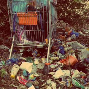 «ЭкоИнтегратор» оштрафовали на 10 тысяч рублей за некачественный вывоз мусора