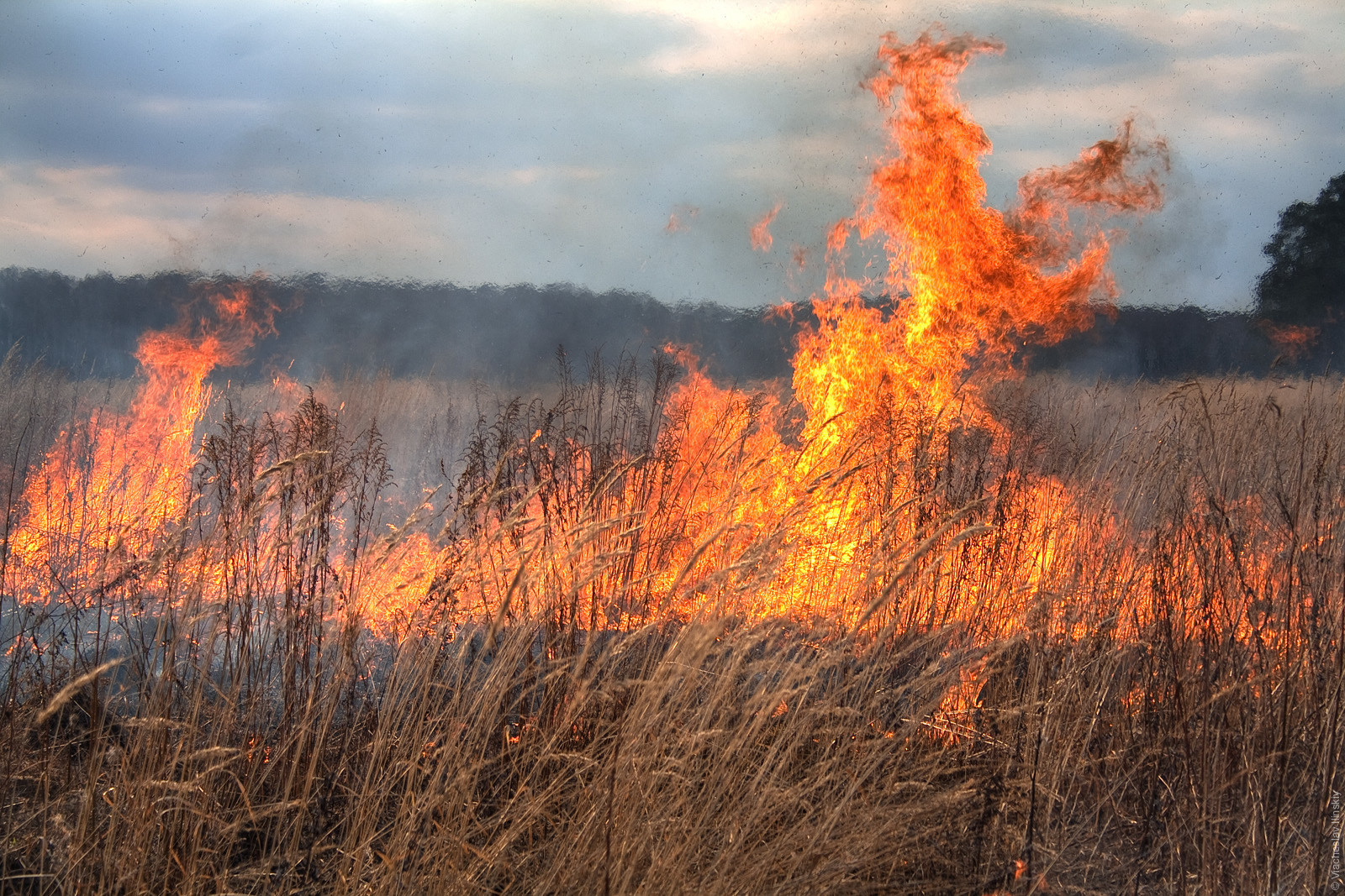 За минувшие сутки в Архангельской области произошло 19 пожаров