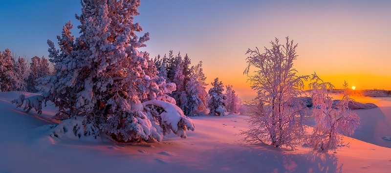 Мороз и солнце: температурный падёж в Поморье закончится к середине недели