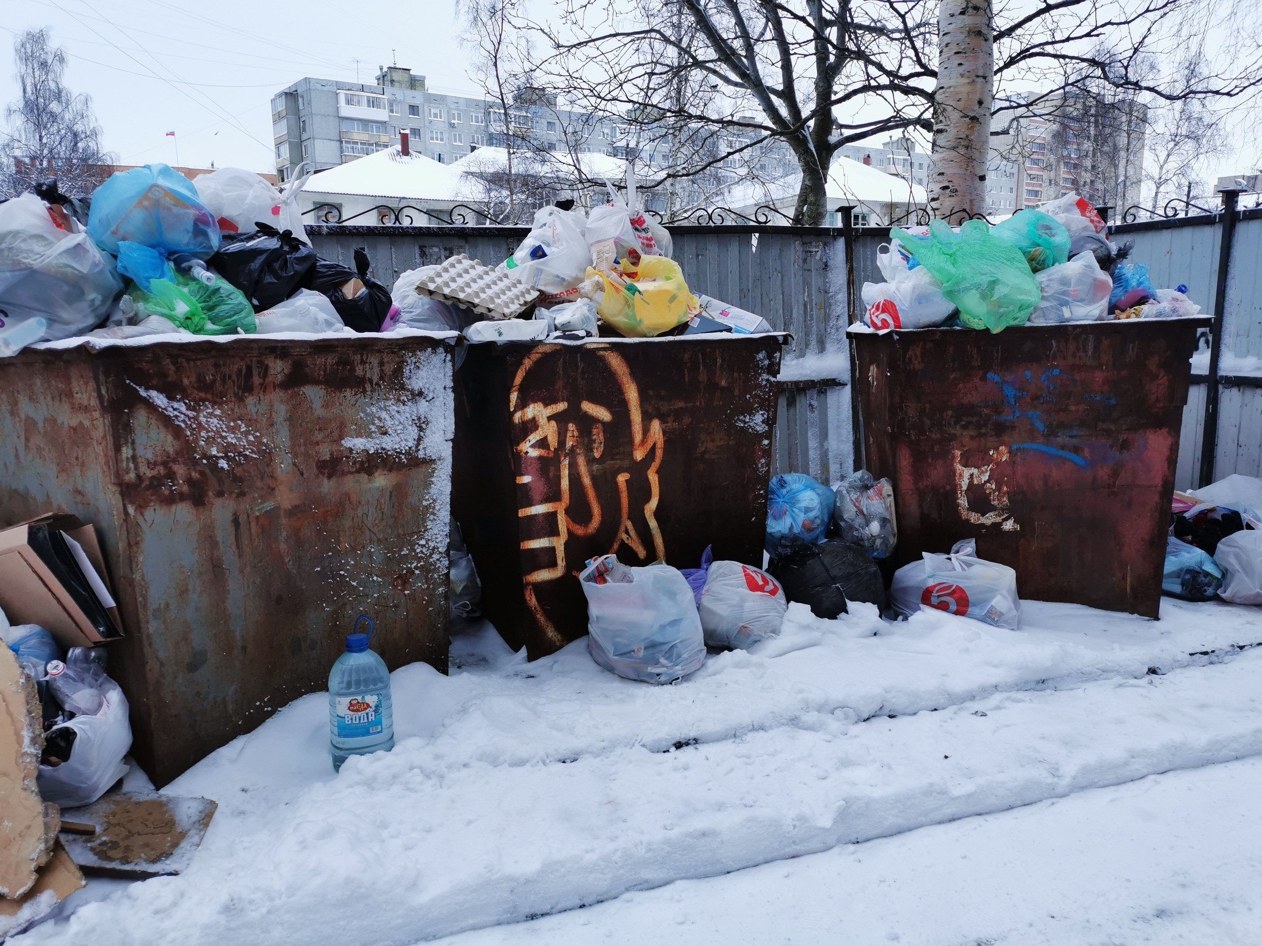 Экоинтегратор винит жителей Архангельской области в мусорном коллапсе
