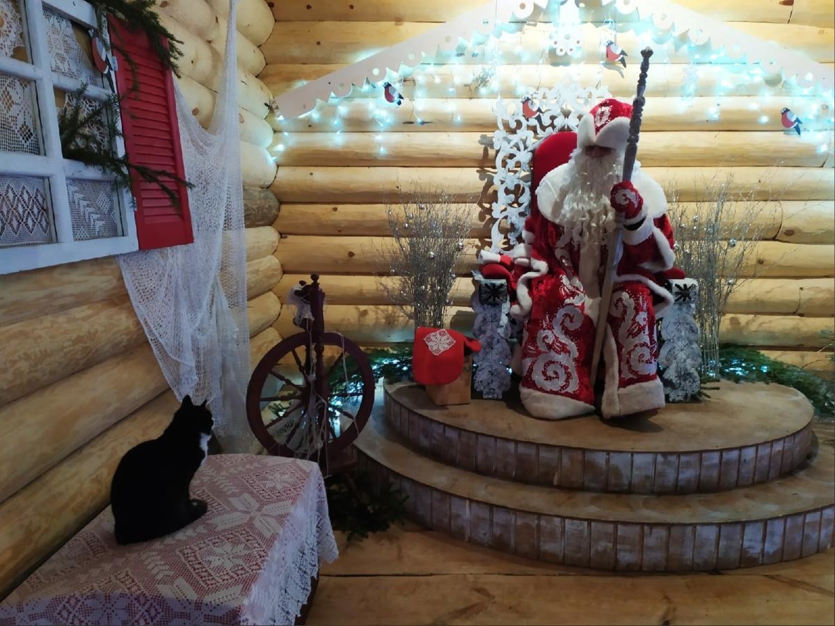 В доме Деда Мороза в Малых Корелах вместо снегурочки живёт кот