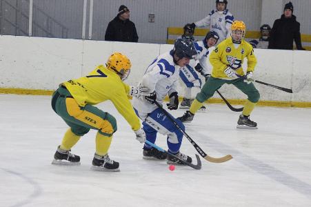 В Архангельске проходит областной чемпионат по мини-хоккею с мячом