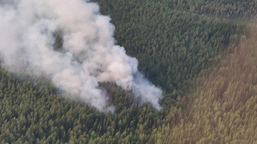 В Архангельской области за неделю дважды горел лес