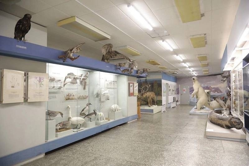 В архангельском краеведческом музее модернизируют экспозицию о природе Севера