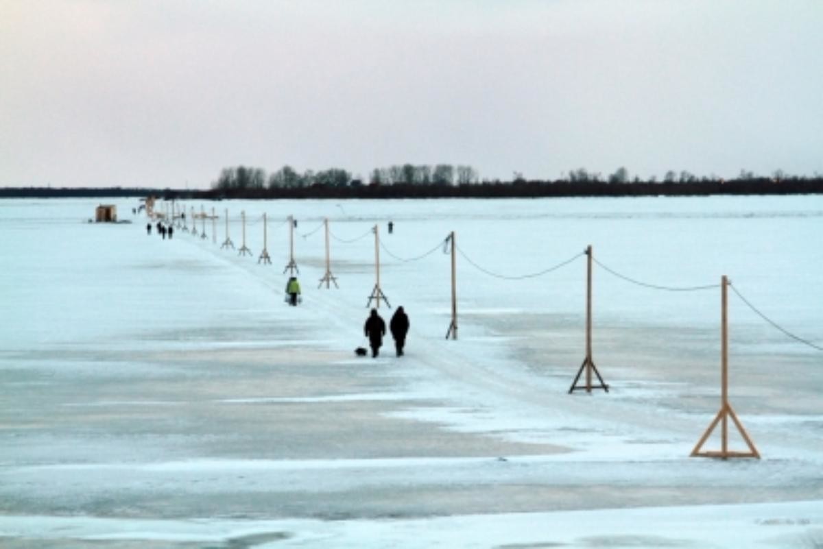 Пешеходные переправы в Архангельске появятся в конце декабря