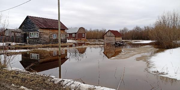 В Холмогорском округе началось подтопление жилых домов