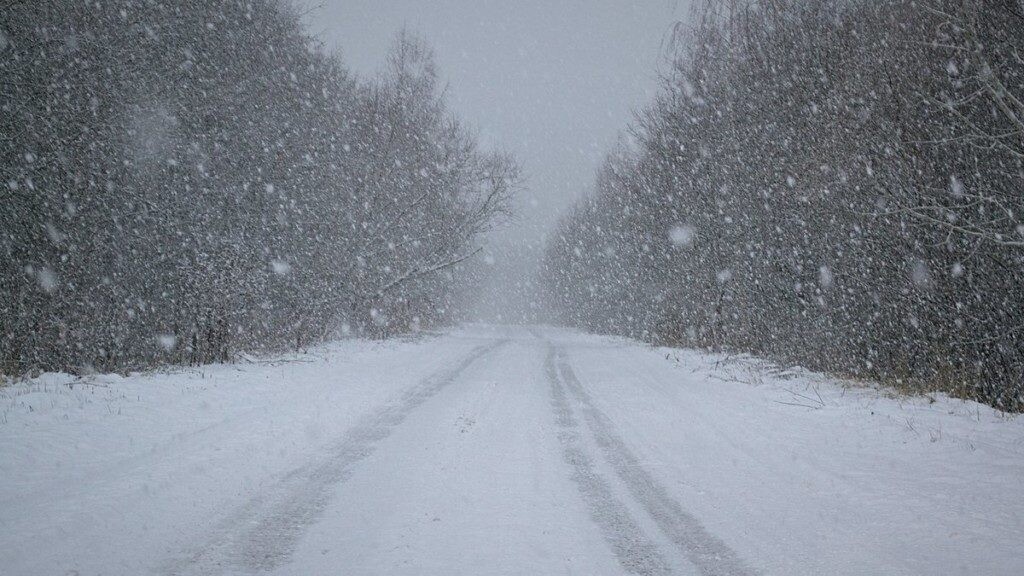 Ночью 22 февраля Архангельск ожидает сильный снегопад