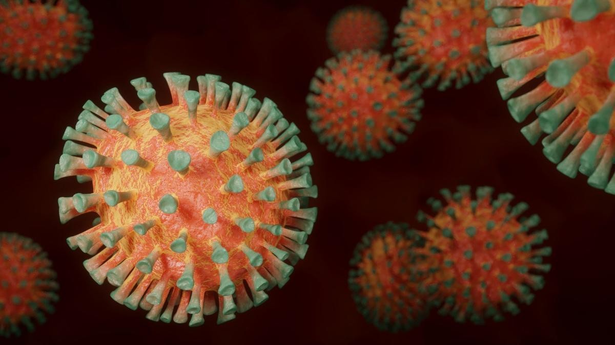 В Архангельской области 397 человек заболели коронавирусом
