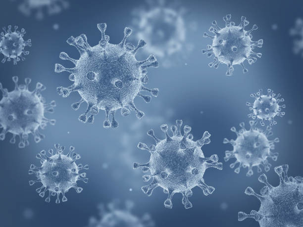 В Архангельской области 260 человек заболели коронавирусом за последние сутки