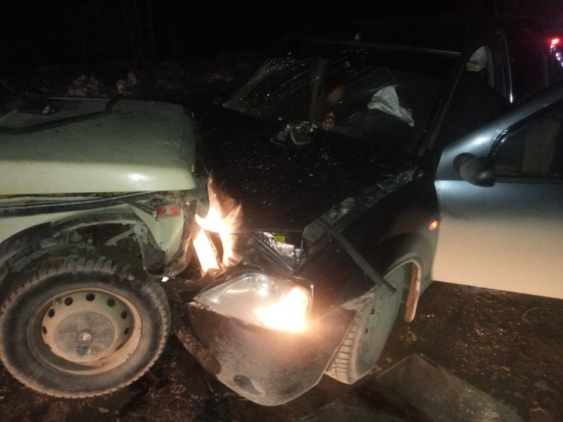 В Пинежском районе в ДТП по вине пьяного водителя пострадали три человека