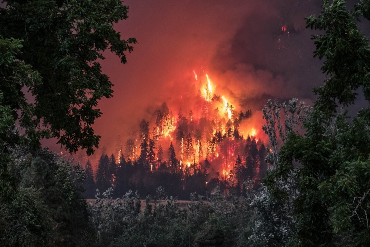 В Поморье за минувшую неделю произошло 111 пожаров