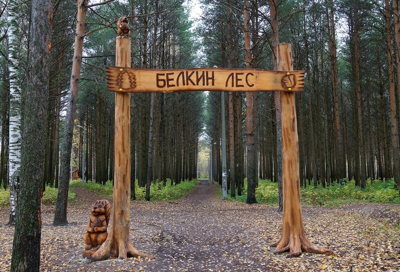 Котлас Белкин лес