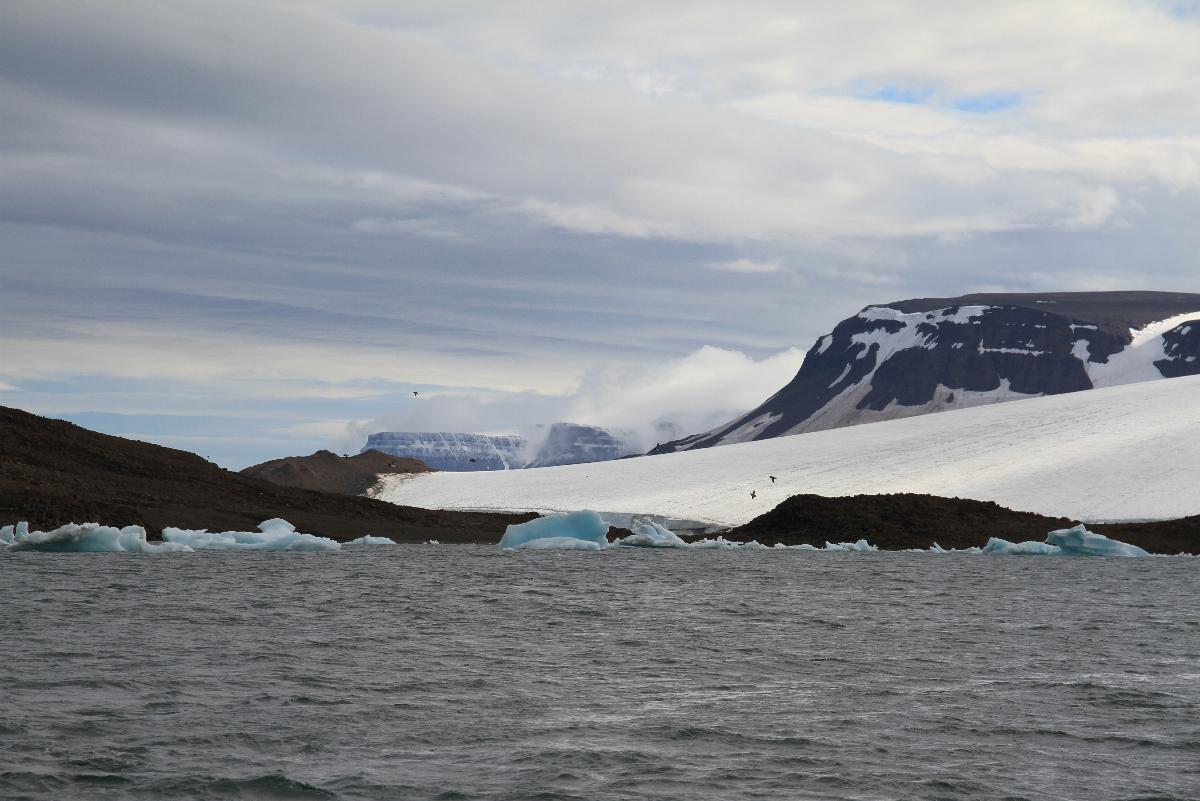 Обломки айсберга у берегов острова Угольные Копи, Земля Франца-Иосифа