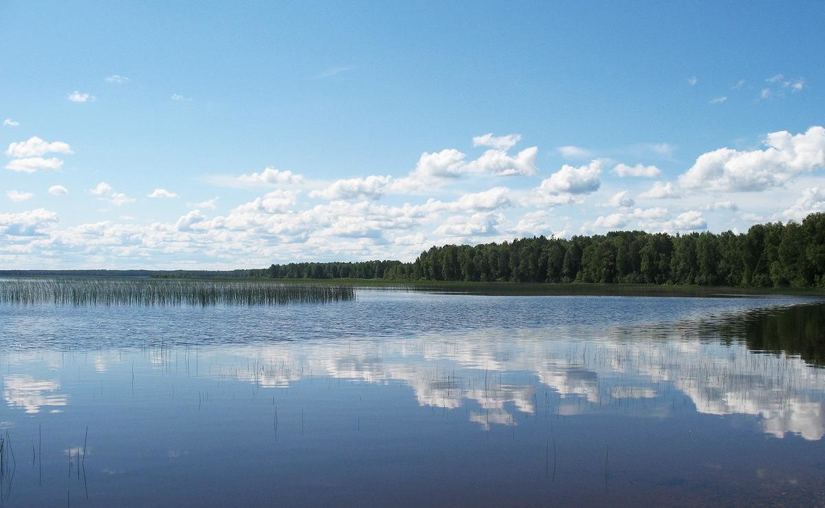«Про людей забыли!»: Жители Няндомского района защитили озеро от форелеводов