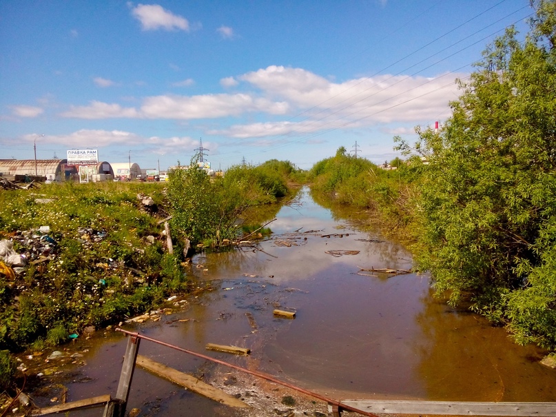 Сточные воды Архангельска в обозримом будущем продолжат сливать в речку Банную