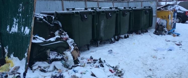 Петарды расплавили мусорные контейнеры в Архангельске