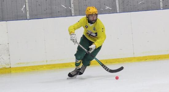 Архангельские «Водник-2007» и «Сириус» возглавили рейтинг на областном чемпионате по мини-хоккею