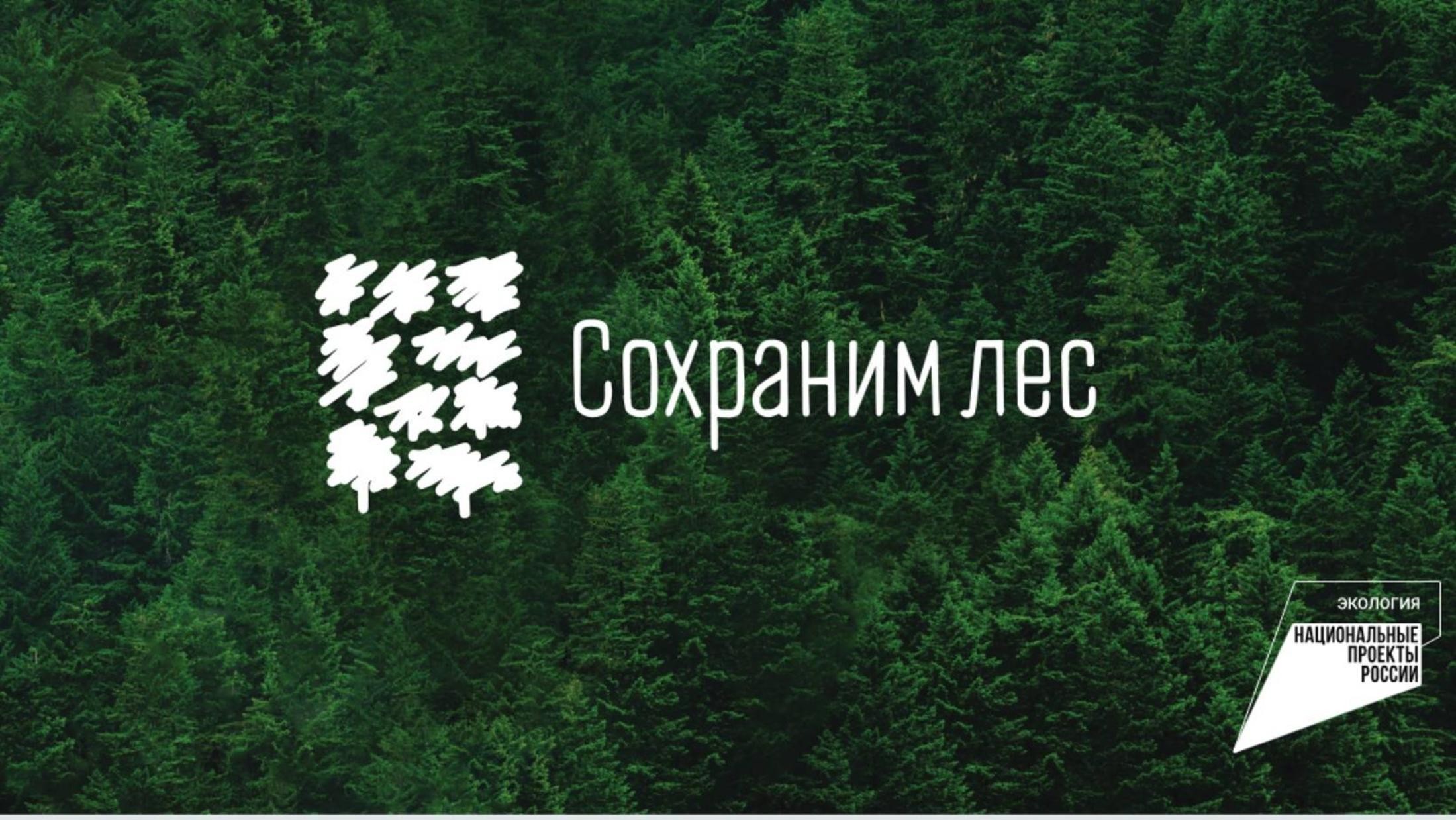 Архангельская область присоединится к 	Всероссийской акции «Сохраним лес»