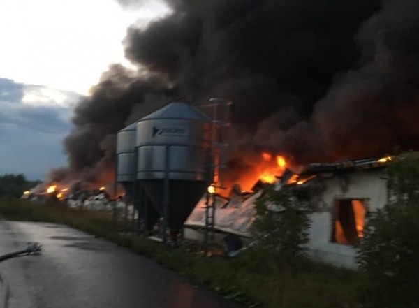 Здание бывшей птицефабрики сгорело под Вельском