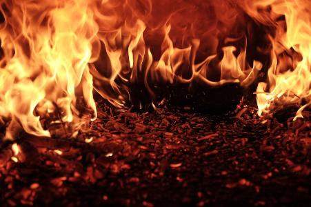 Пожар унес жизни двух человек в Шенкурском районе 