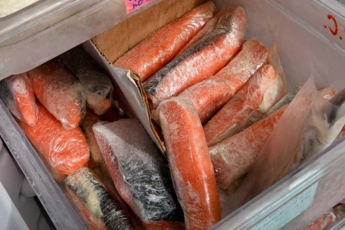 Председателя рыбколхоза в Архангельской области оштрафовали за подозрительную продукцию