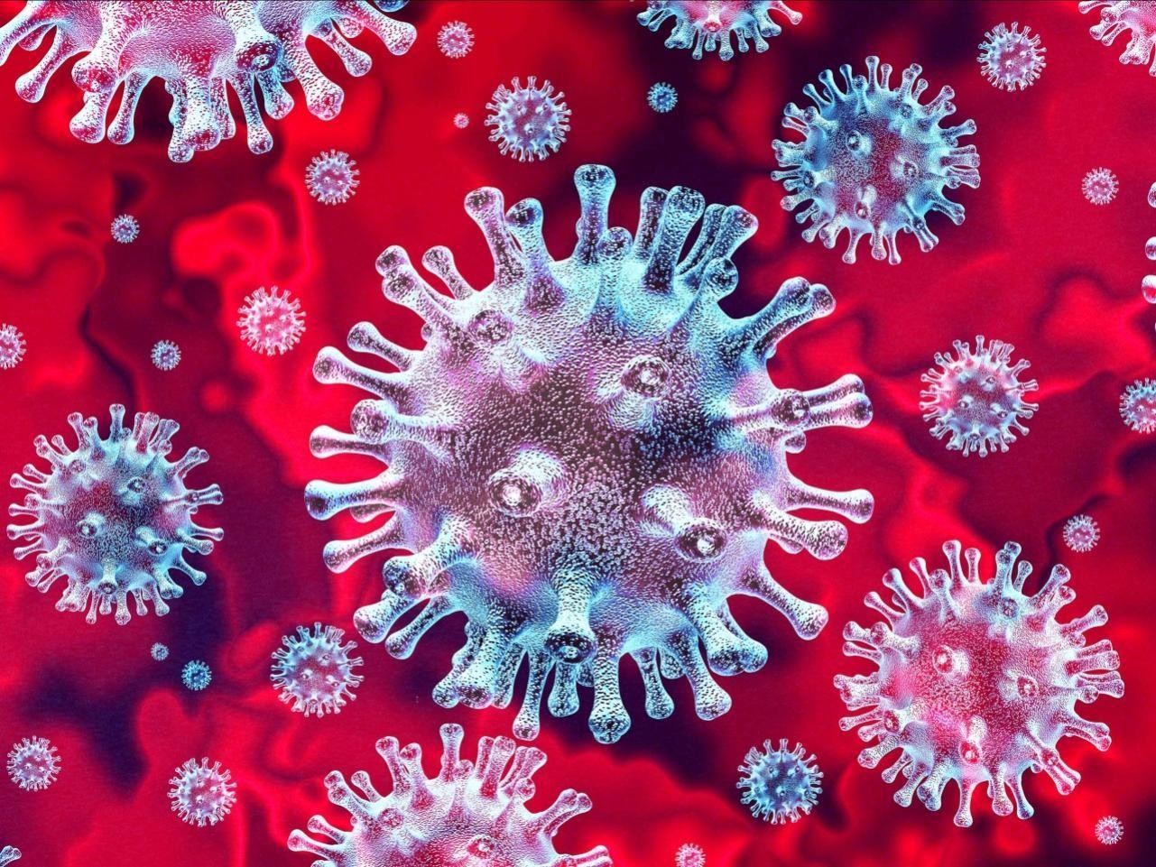 В Поморье за сутки заразились коронавирусом 242 человека