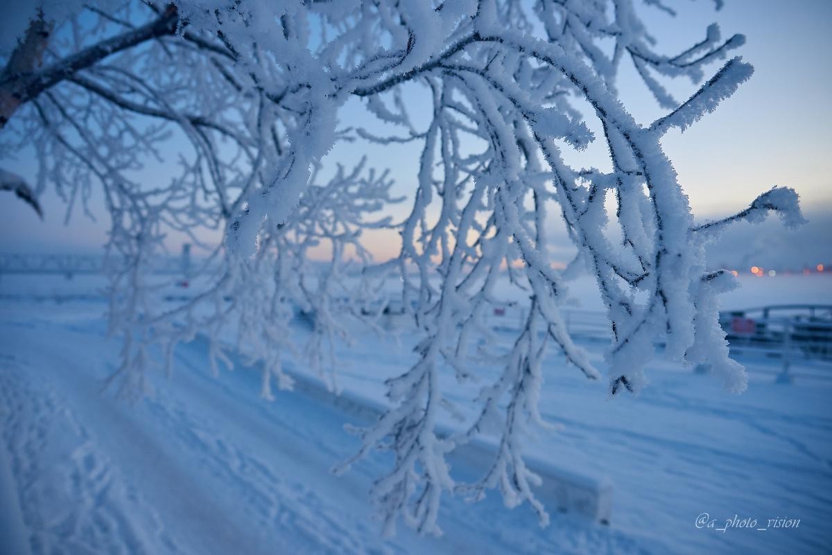 В Архангельской области ожидается оттепель после морозов