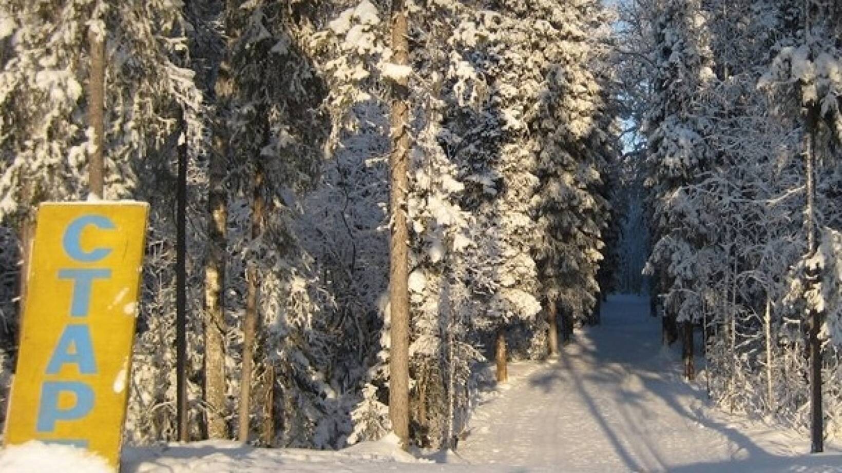 «Малые Коре­лы» и лыжные базы: что открыто в Архангельске в новогодние праздники