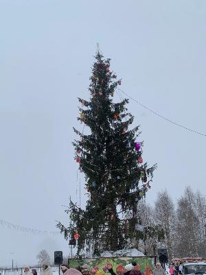 Поломанную городскую елку в Коряжме заменят к новому году