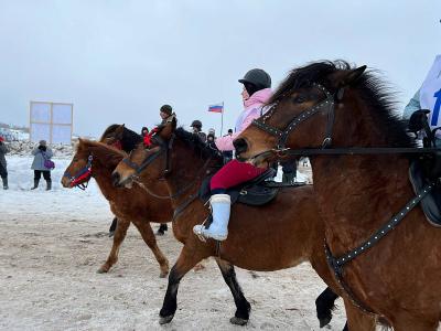 Заменитель, Арабик и Пегас: завершены областные соревнования конников на лошадях мезенской породы