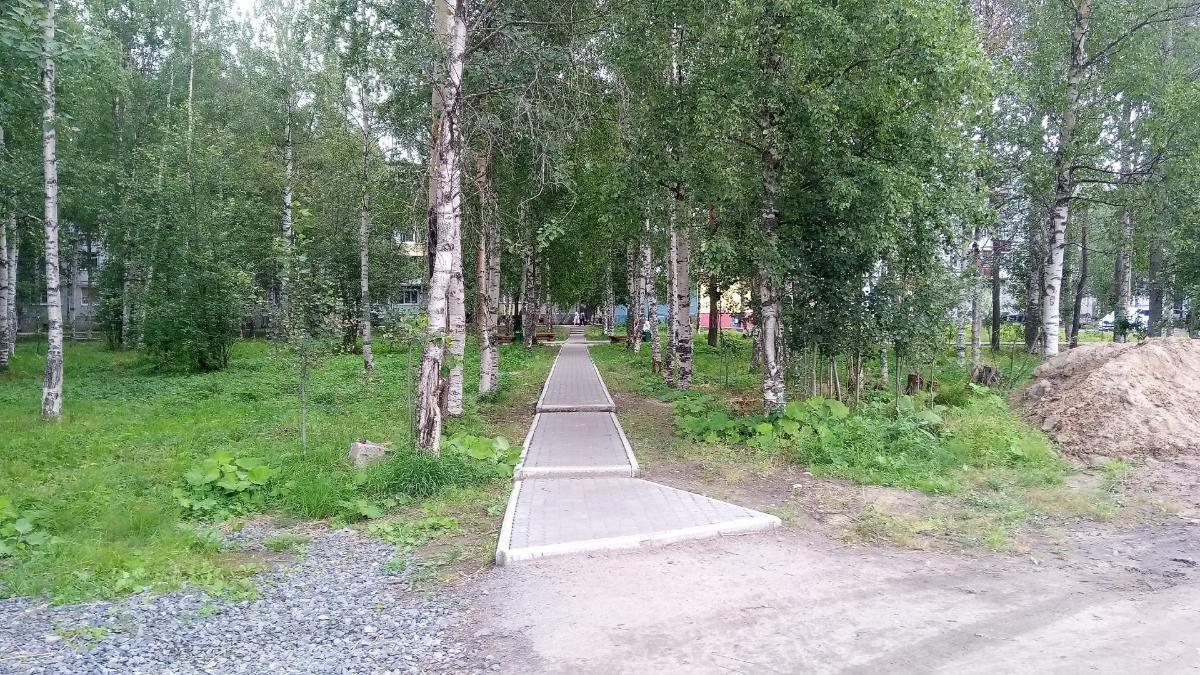 Библиотекарь о благоустройстве Архангельска: «Деревья — это легкие города»
