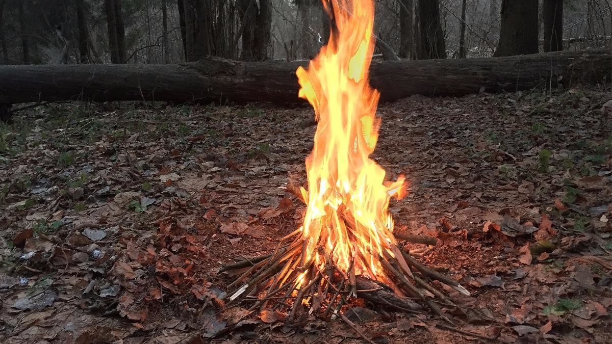 В Новодвинске на территории детсада подростки разжигали костёр