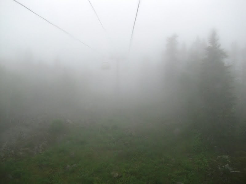 В Архангельской области ожидается дождь и туман