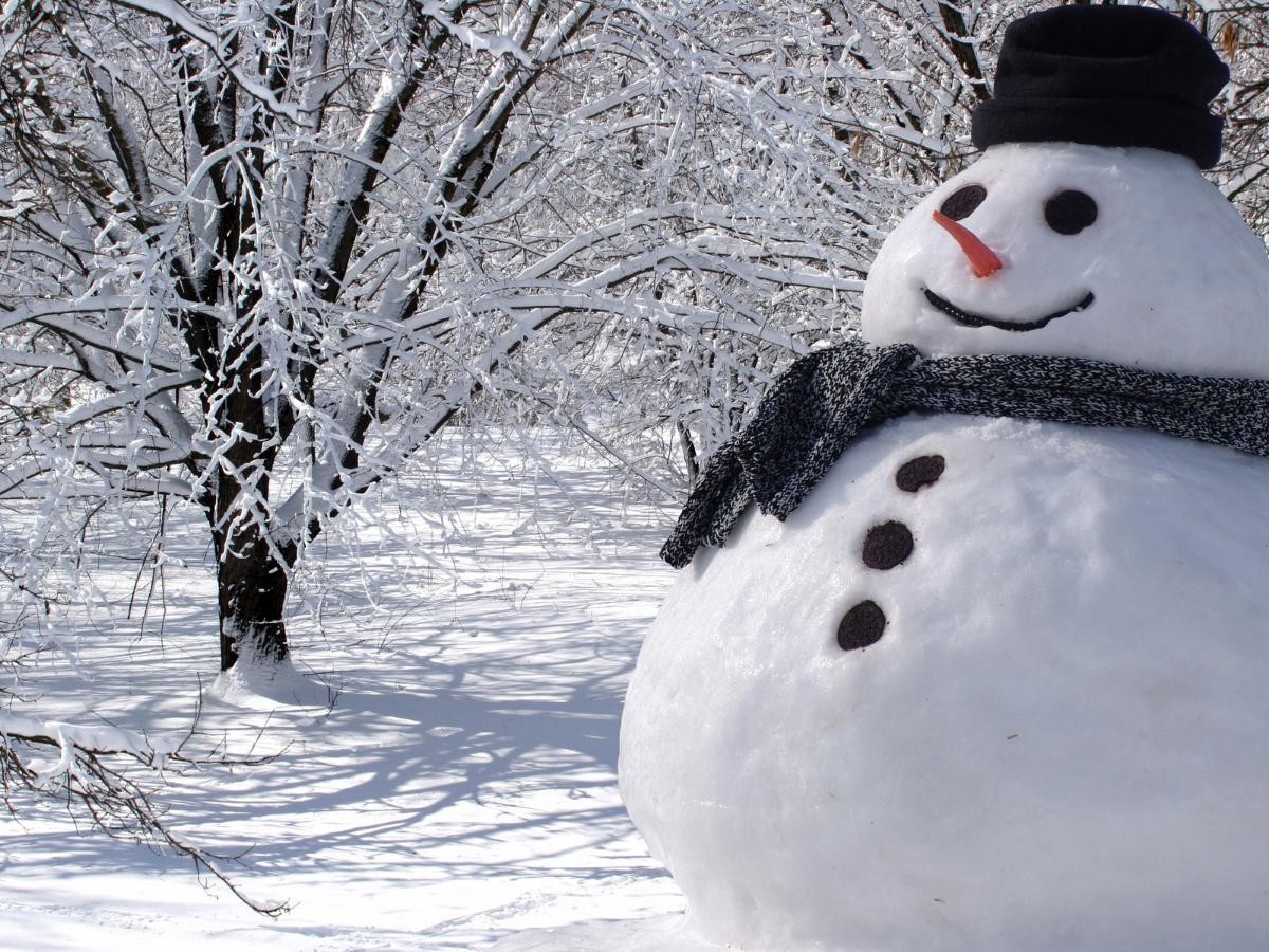 Жителей Архангельска приглашают на День снеговика