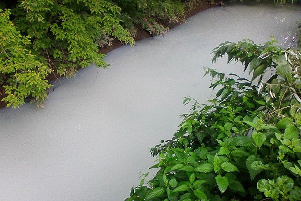 В Устьянах молочное предприятие загрязняло местную реку