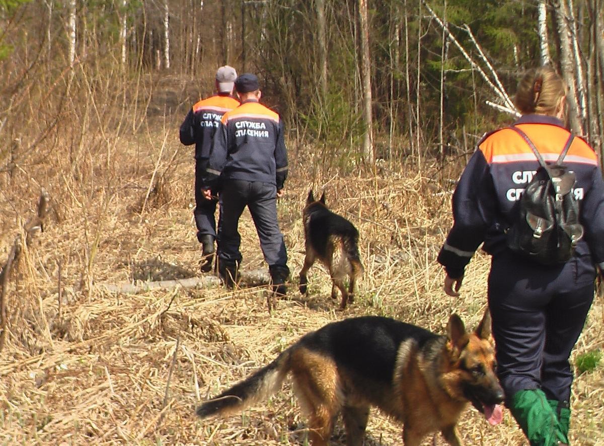 Спасатели двое суток искали заблудившуюся в районе реки Лодьмы семью
