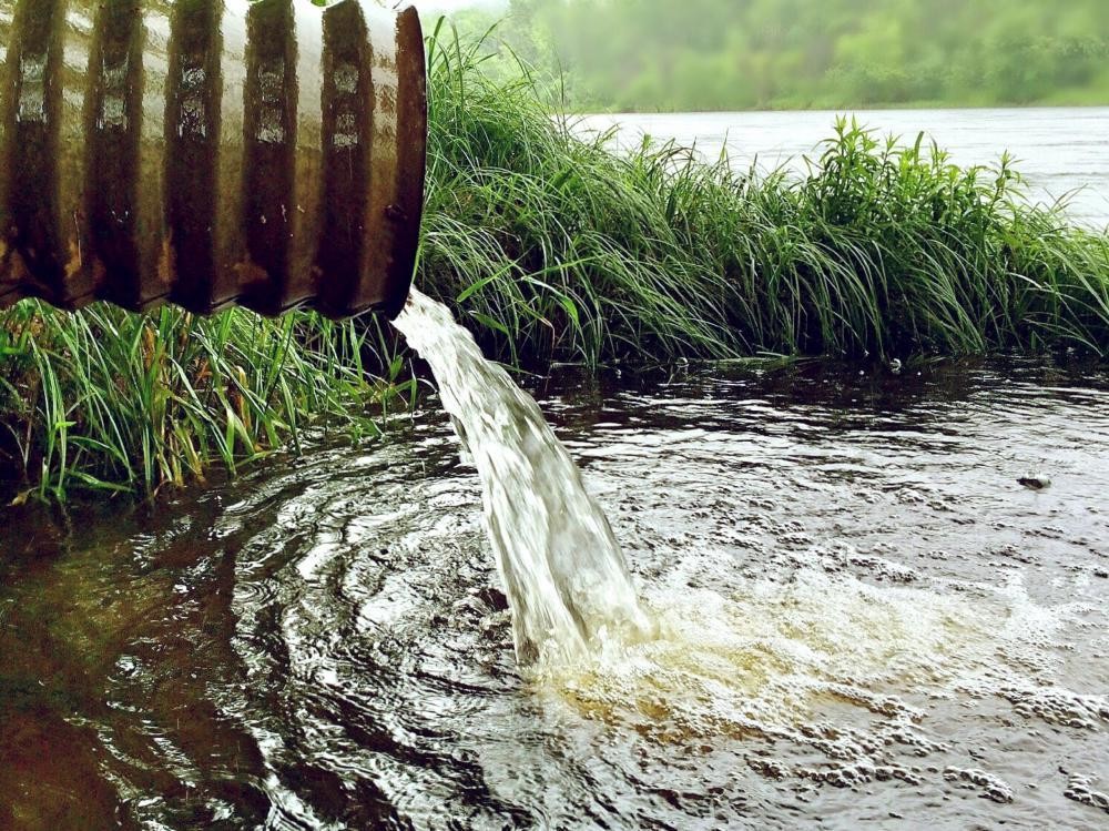 Администрацию Архангельска пытаются засудить на 65 млн рублей за загрязнение рек