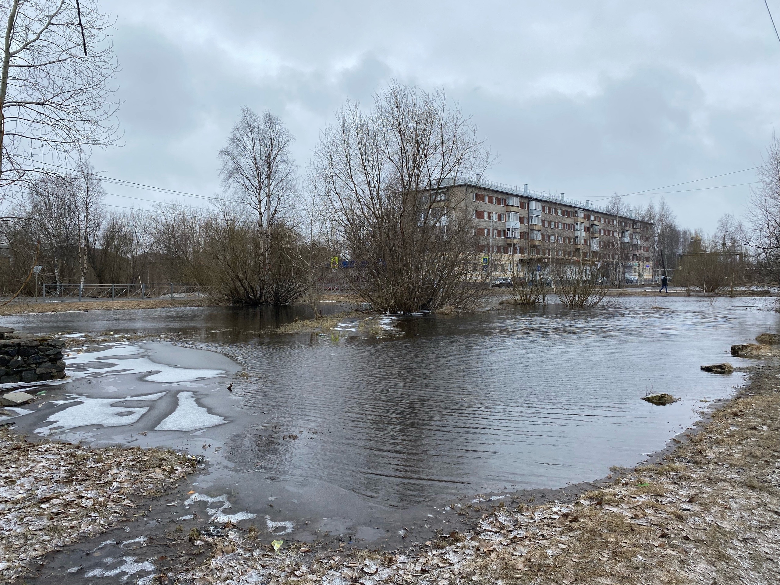 В Северном округе Архангельска разлилась лужа-озеро