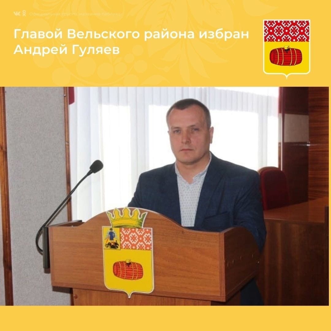 Директор издательского дома Андрей Гуляев стал главой Вельского района