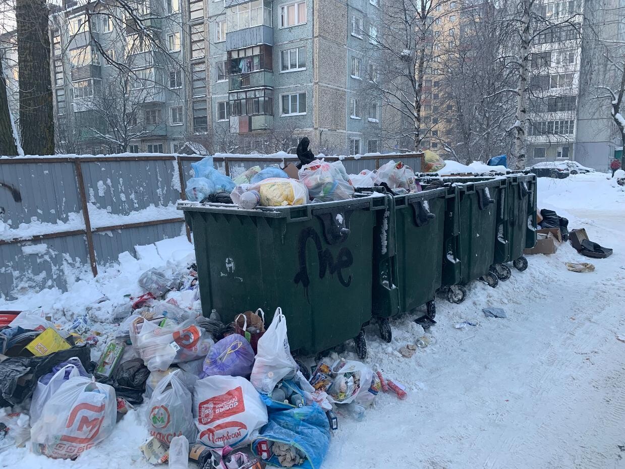 Регионального мусорного оператора в Архангельской области могут лишить статуса
