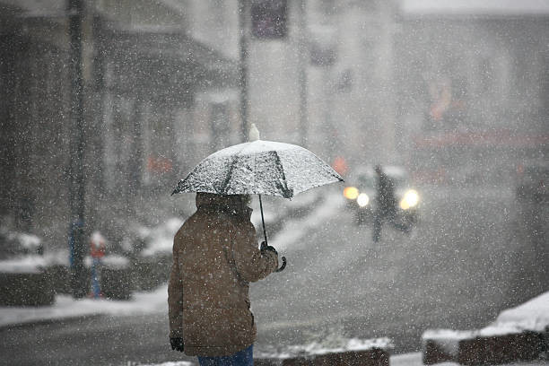 В выходные в Архангельской области пройдут дожди и мокрый снег
