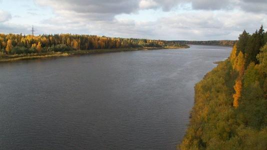 Вельский «Водоканал» оштрафовали на 168 миллионов рублей за загрязнение реки Ваги