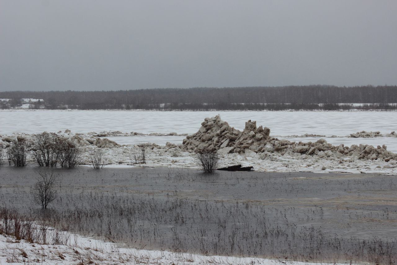 Северная Двина, Великий Двор, 143 км. Следы подвижек, навалы льда у берега, вода вышла на пойму. 20 апреля 2024 14 ч.