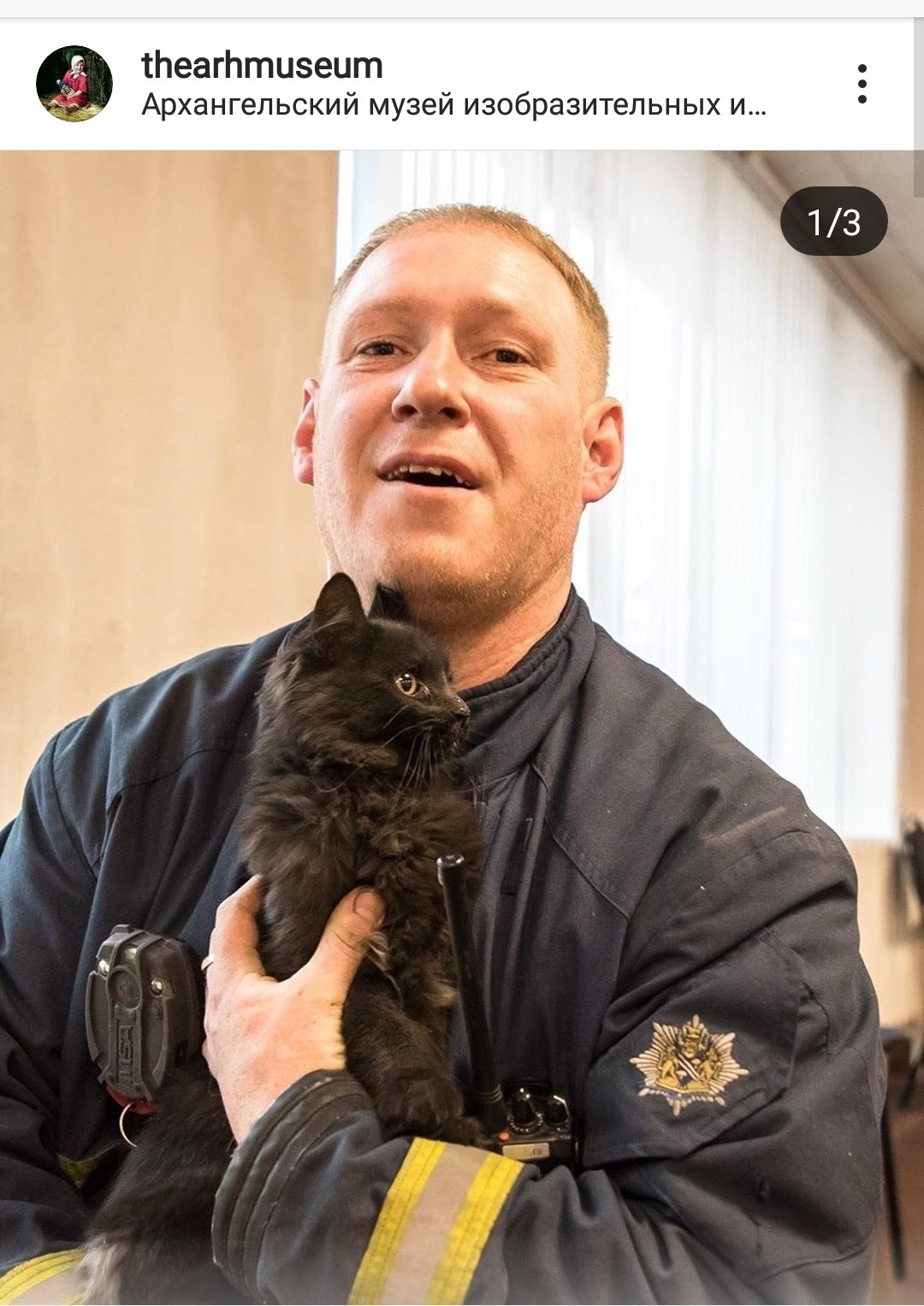 В музее ИЗО в Архангельске спасатели достали котёнка из шахты