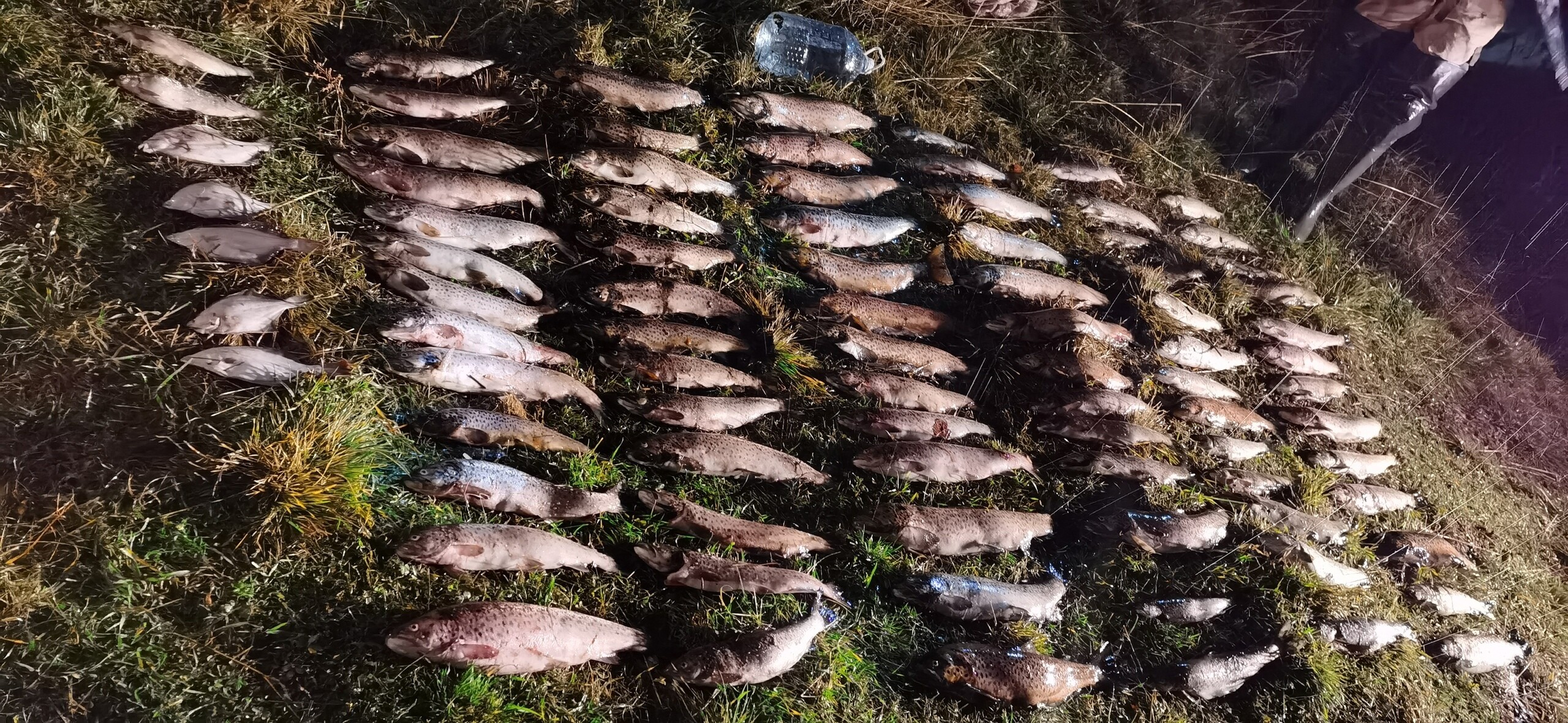 В «Онежском Поморье» задержан рыболов
