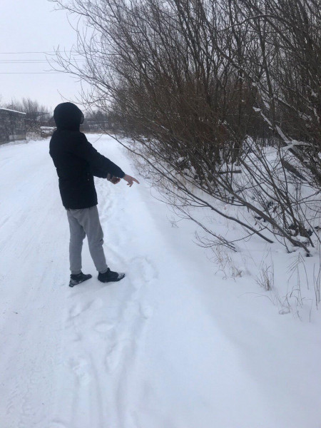В Северодвинске задержали пьяного водителя, перевозившего наркотики
