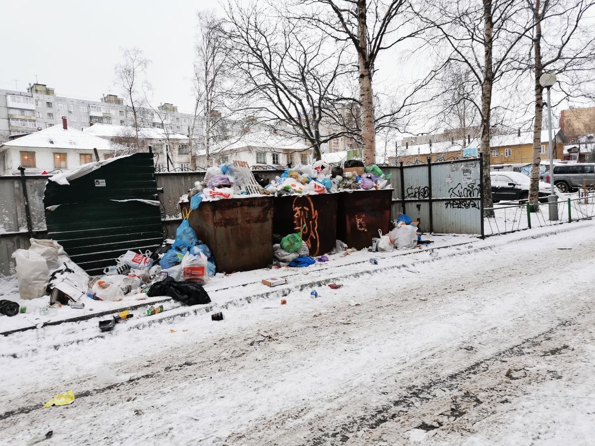 Проблему раздельного сбора мусора обсудят в Архангельске в марте
