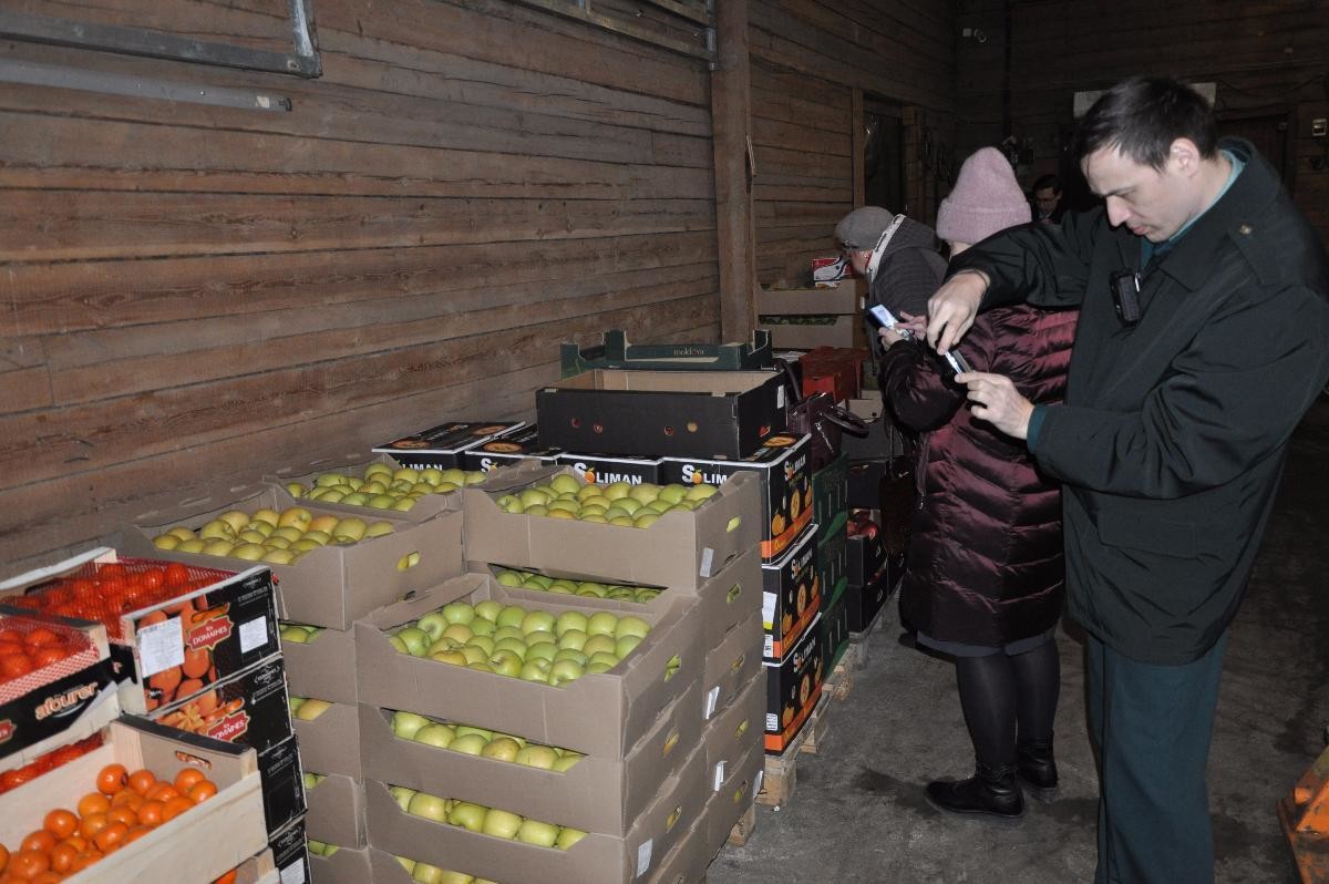 В Северодвинске изъяли из оборота «санкционные» турецкие яблоки